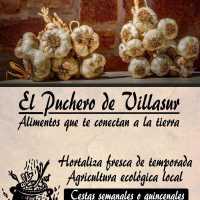 Poster del puchero